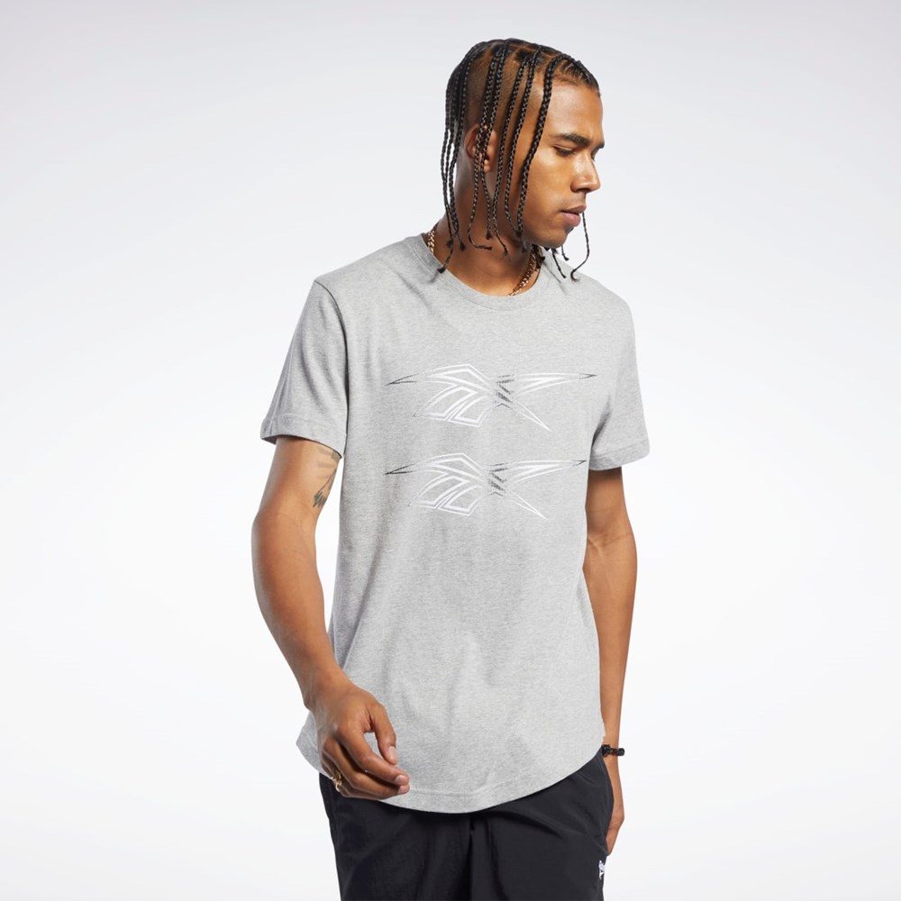 Reebok Classics Grafiske Tee Grå | OYBUJR-621