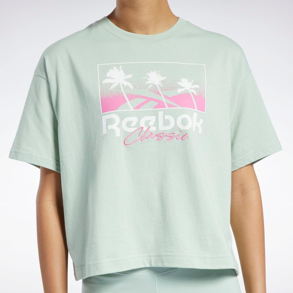 Reebok Classics Summer Grafiske T-Shirt Lyse | YEXINP-738