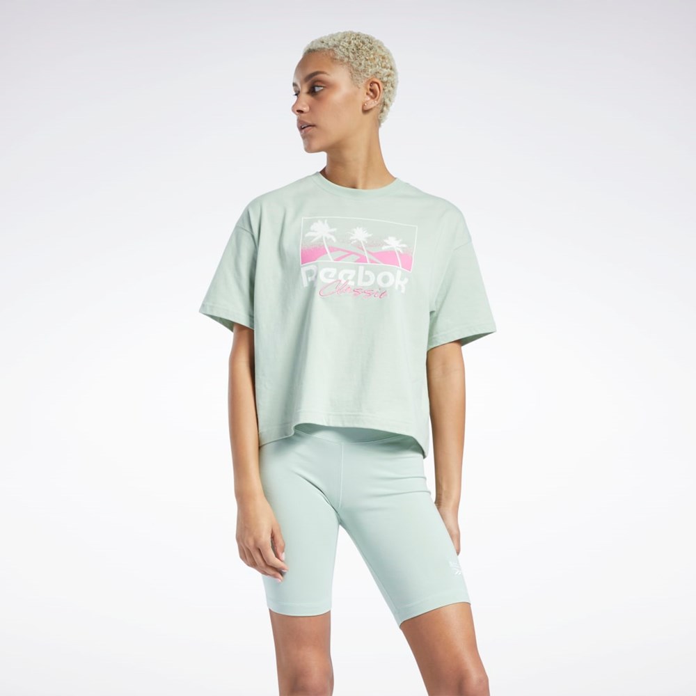 Reebok Classics Summer Grafiske T-Shirt Lyse | YEXINP-738