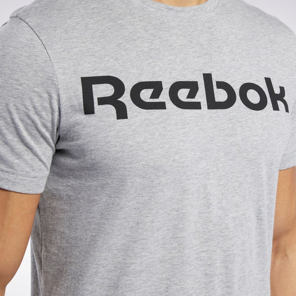 Reebok Grafiske Series Linear Logo Tee Grå | HNDQTF-309