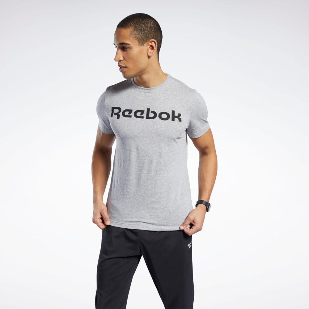 Reebok Grafiske Series Linear Logo Tee Grå | HNDQTF-309