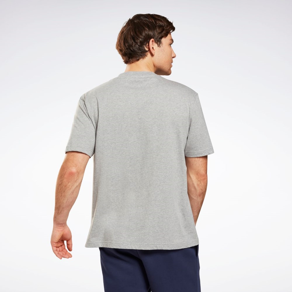 Reebok Grafiske Series T-Shirt Grå | VXQDLF-269