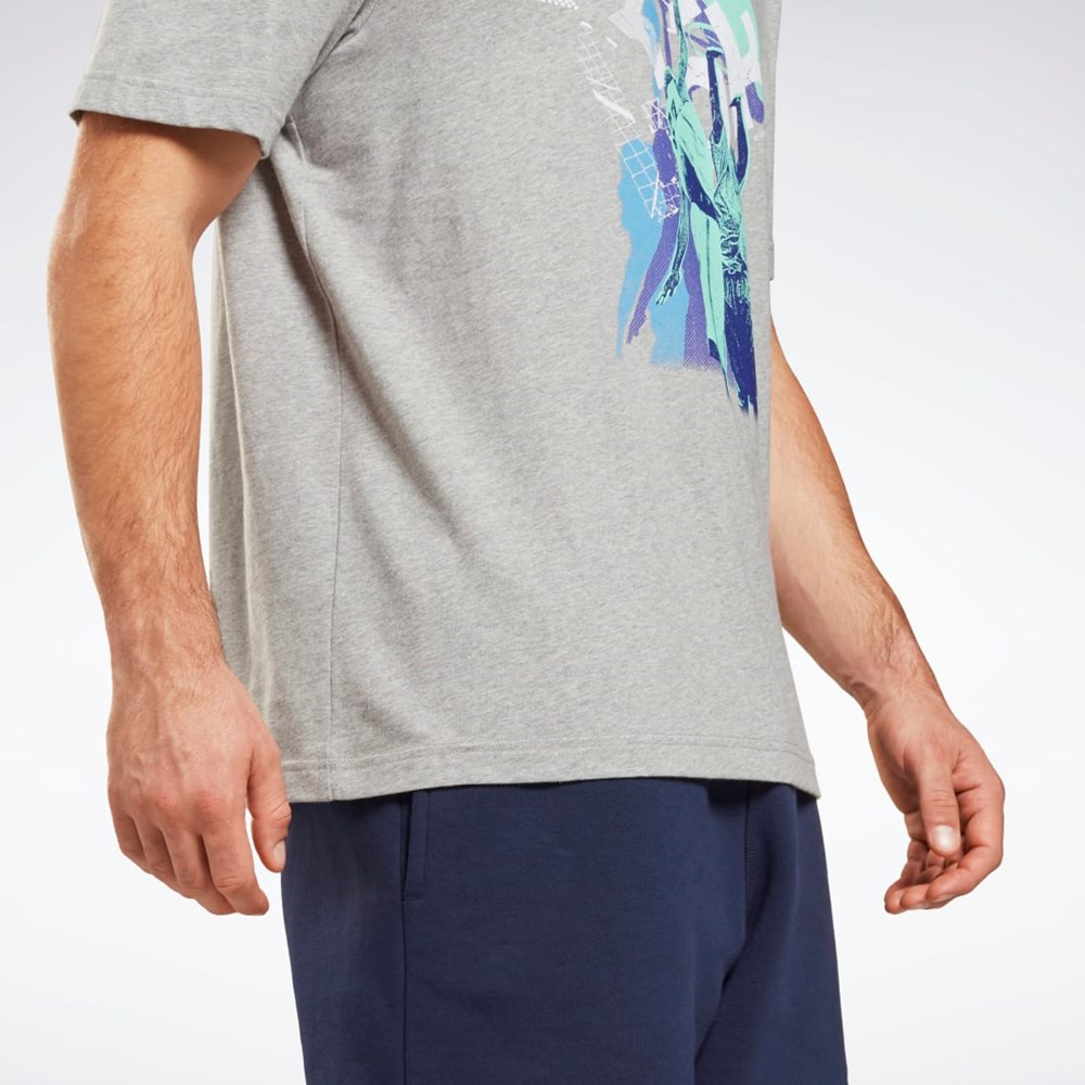 Reebok Grafiske Series T-Shirt Grå | YOFDWG-065