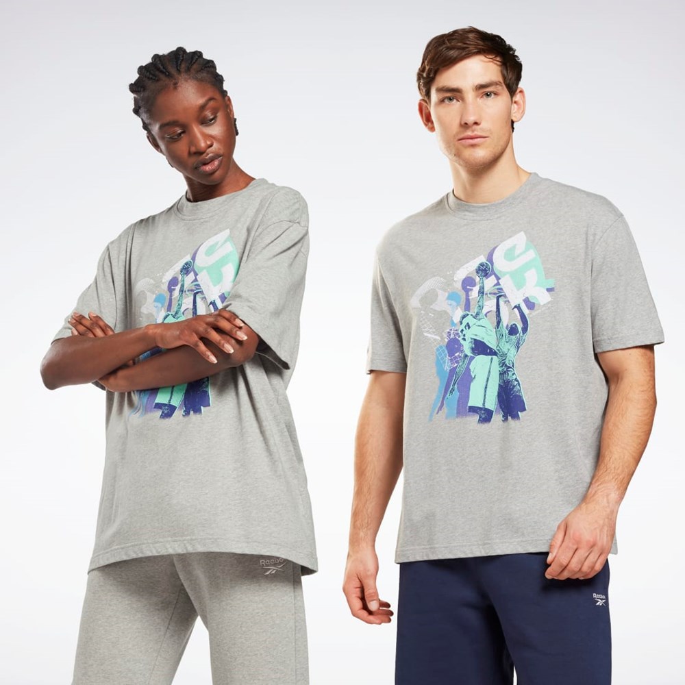 Reebok Grafiske Series T-Shirt Grå | YOFDWG-065