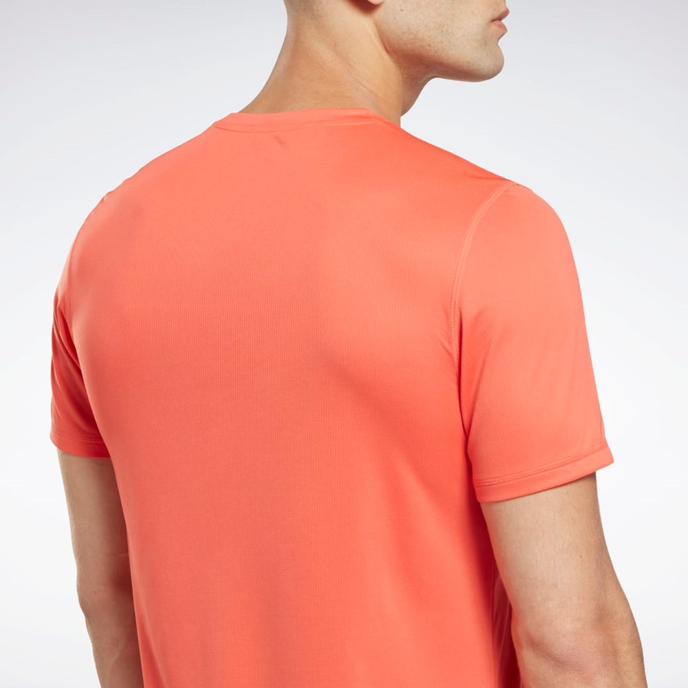 Reebok Jogge Grafiske T-Shirt Oransje | LOMZKC-918