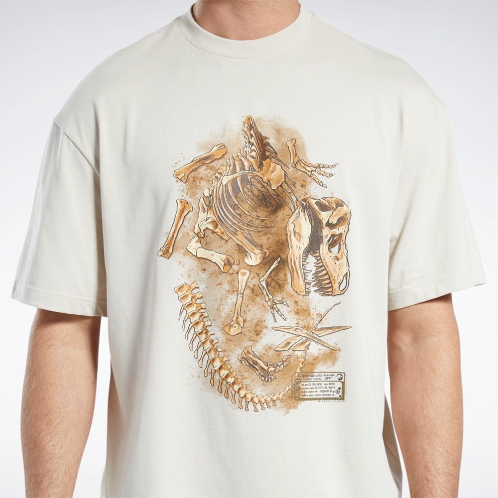 Reebok Jurassic World Fossil T-Shirt Stucco | HBWUCD-401