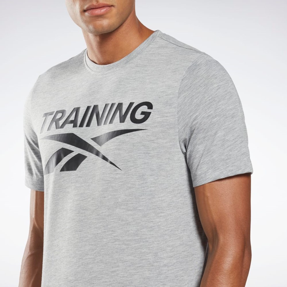 Reebok Reebok Grafiske Series T-Shirt Grå | MCRNXP-174