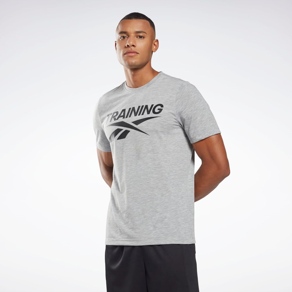 Reebok Reebok Grafiske Series T-Shirt Grå | MCRNXP-174