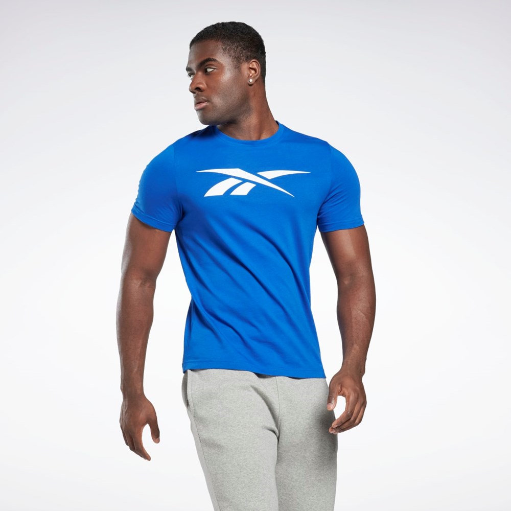 Reebok Reebok Grafiske Series Vector T-Shirt Blå | CLGQEV-460