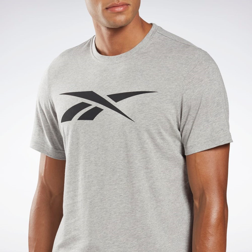 Reebok Reebok Grafiske Series Vector T-Shirt Grå | ZPNHWV-423