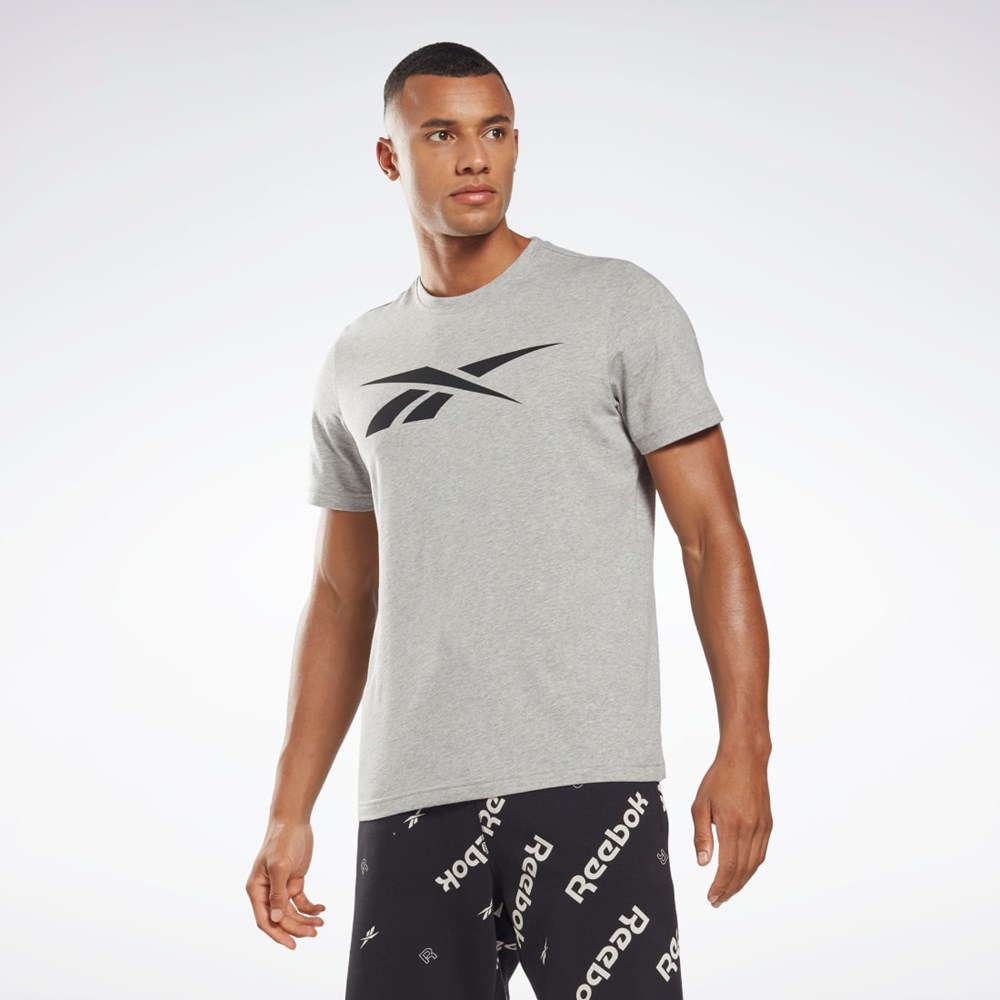 Reebok Reebok Grafiske Series Vector T-Shirt Grå | ZPNHWV-423