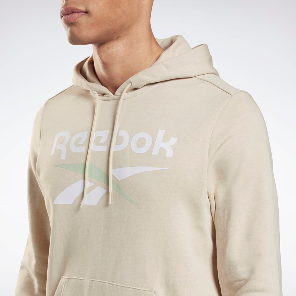 Reebok Reebok Identity Big Logo Hoodie Stucco | KLVQGI-590