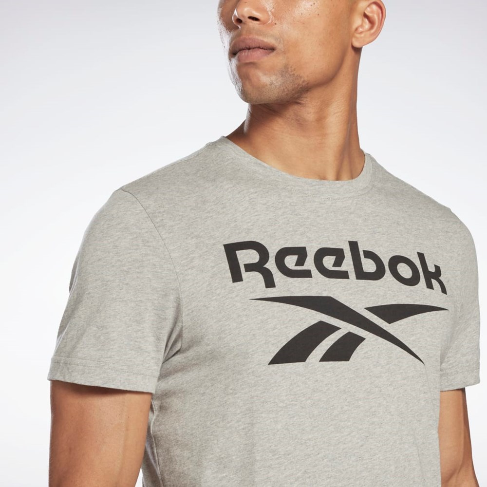 Reebok Reebok Identity Big Logo T-Shirt Grå | BHIATE-142