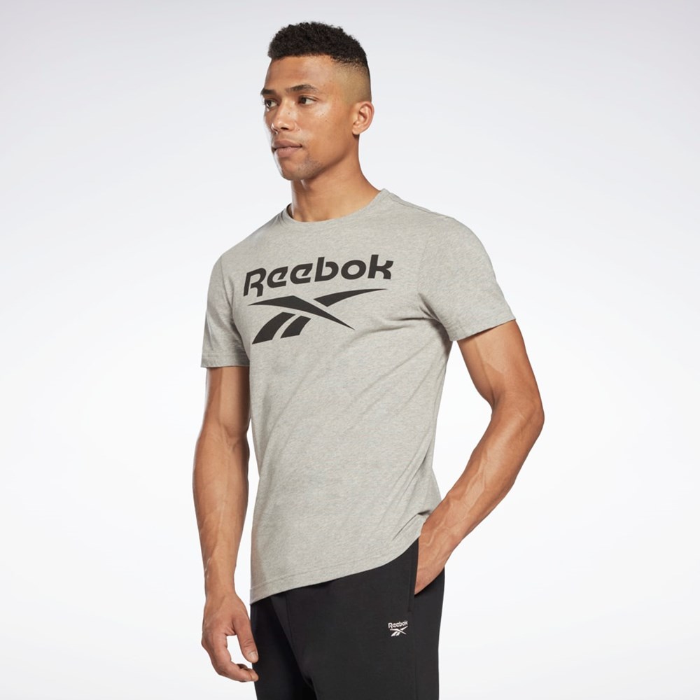 Reebok Reebok Identity Big Logo T-Shirt Grå | BHIATE-142