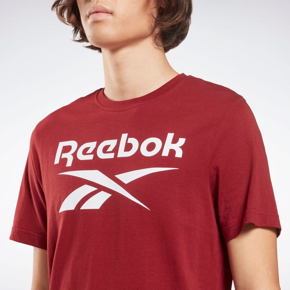 Reebok Reebok Identity Big Logo T-Shirt Burgunder | NAPEJS-753