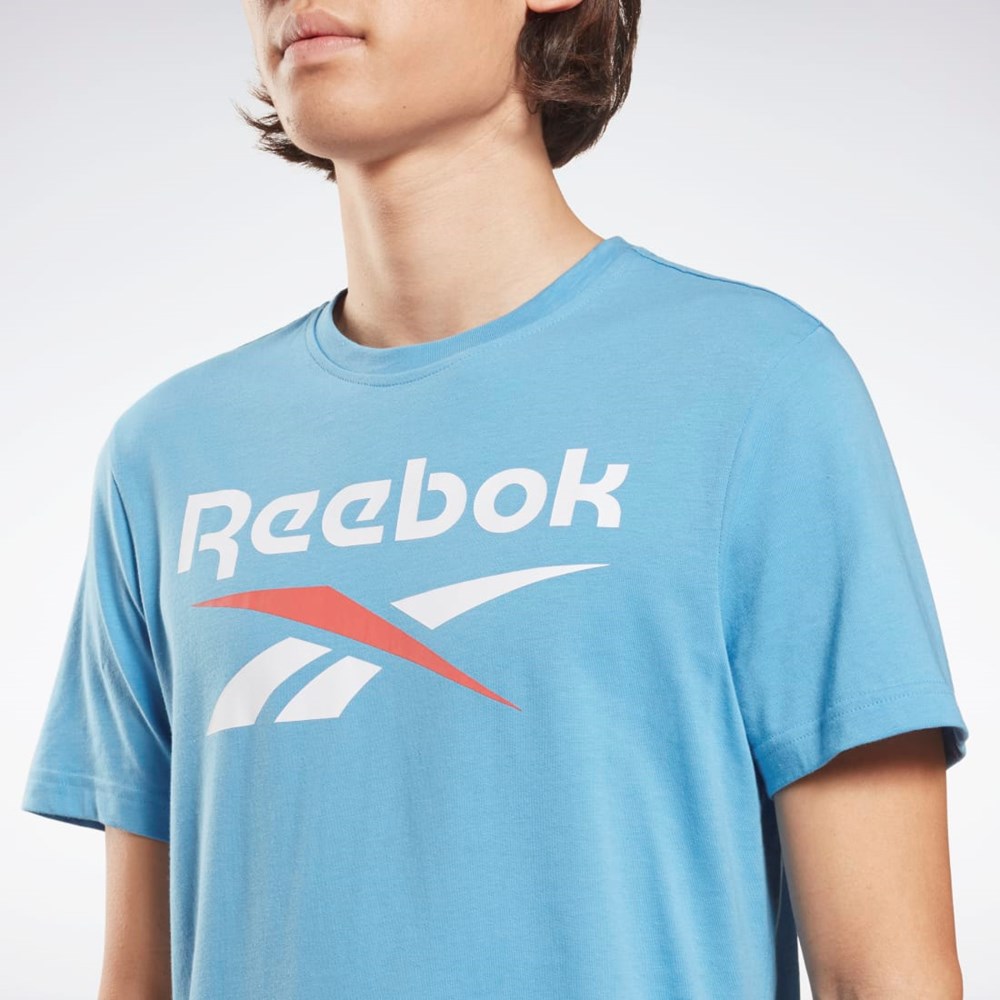 Reebok Reebok Identity Big Logo T-Shirt Blå | TRHZQK-134