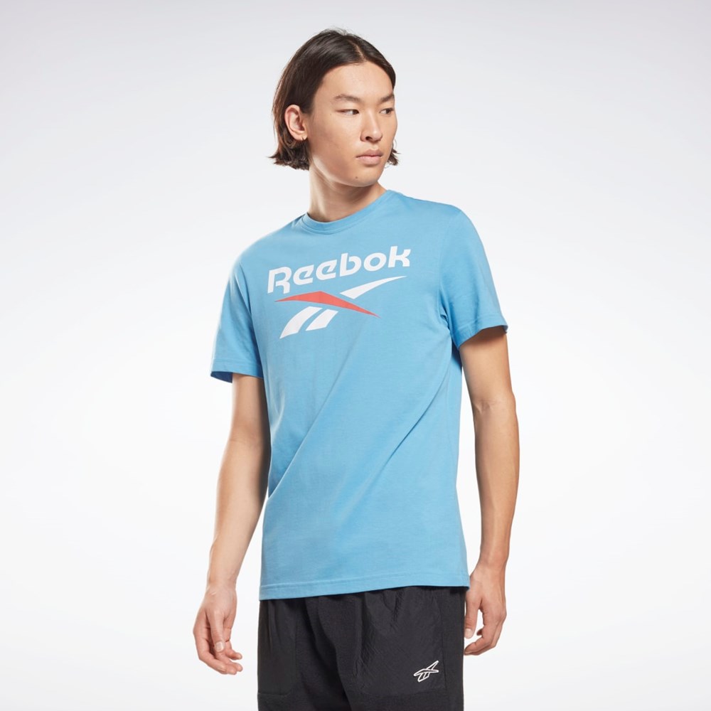 Reebok Reebok Identity Big Logo T-Shirt Blå | TRHZQK-134