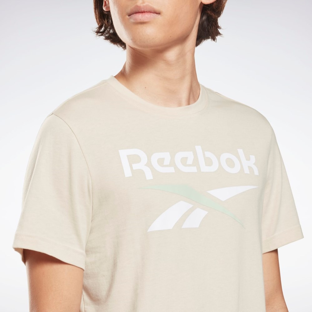 Reebok Reebok Identity Big Logo T-Shirt Stucco | WJTGAE-472