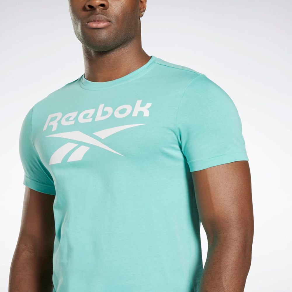 Reebok Reebok Identity Big Logo T-Shirt Semi Classic Teal | YDNREQ-186