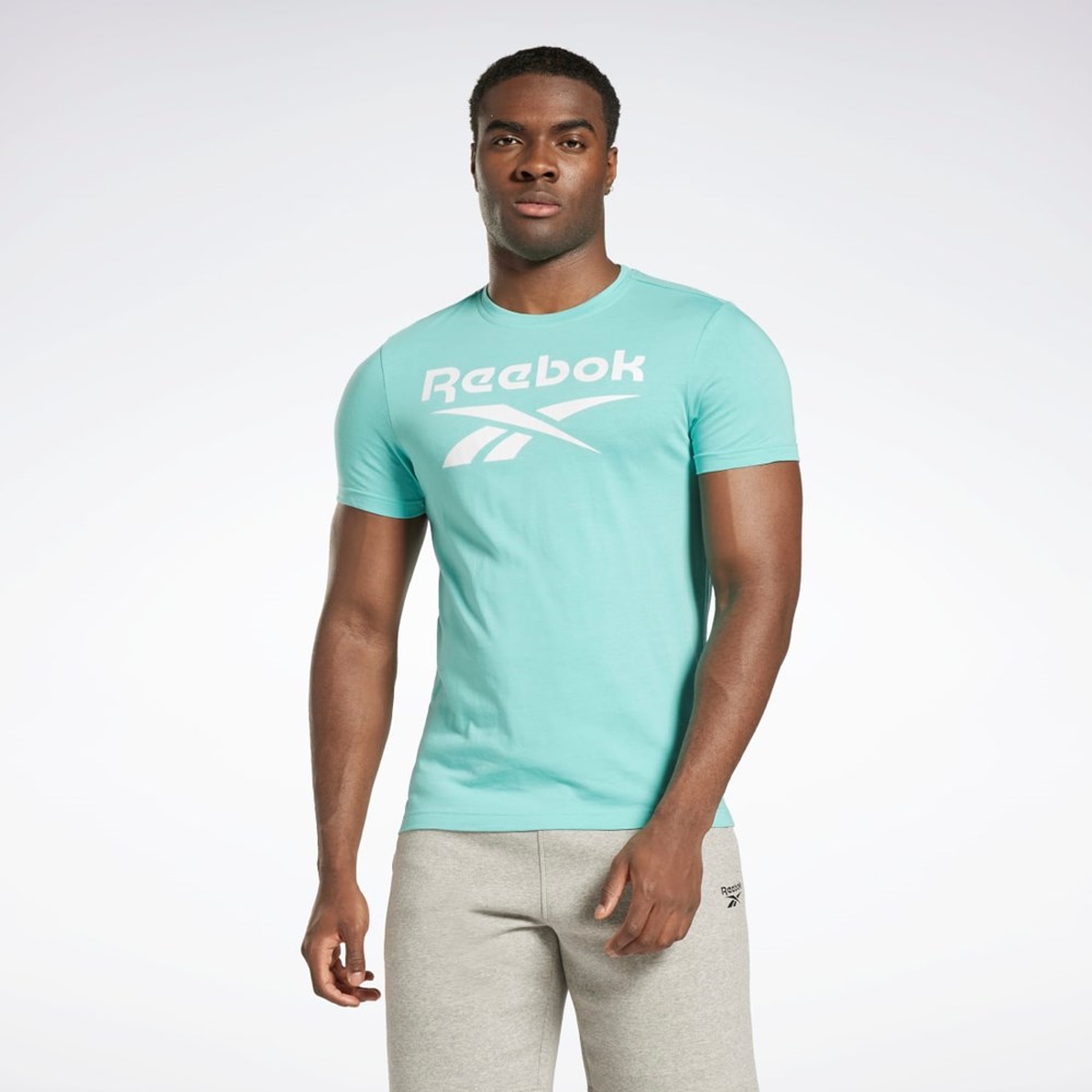 Reebok Reebok Identity Big Logo T-Shirt Semi Classic Teal | YDNREQ-186