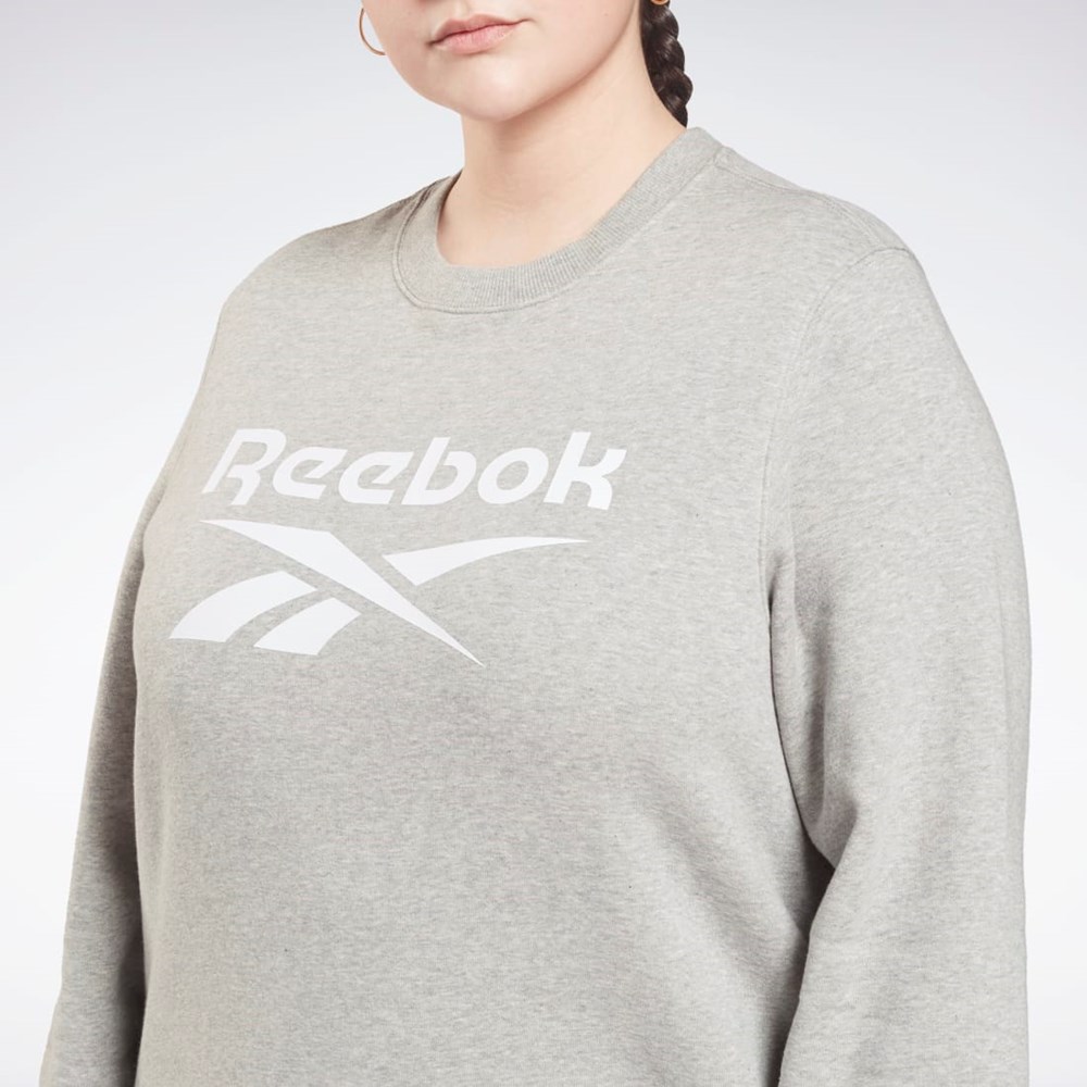 Reebok Reebok Identity Logo Fleece Crew Sweatshirt (Plus Size) Grå | SDTEHF-253