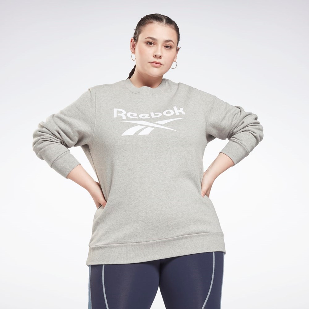 Reebok Reebok Identity Logo Fleece Crew Sweatshirt (Plus Size) Grå | SDTEHF-253