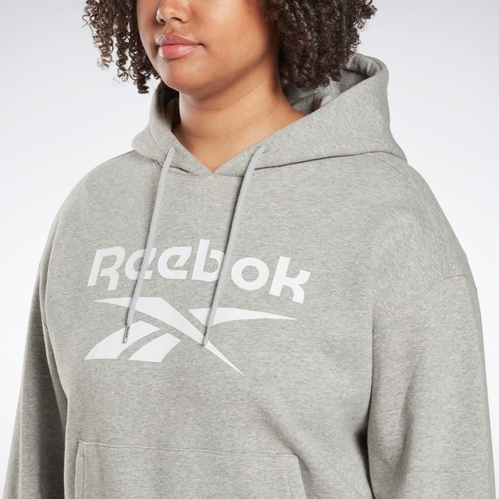 Reebok Reebok Identity Logo Fleece Pullover Hoodie (Plus Size) Grå | MQHBRD-462