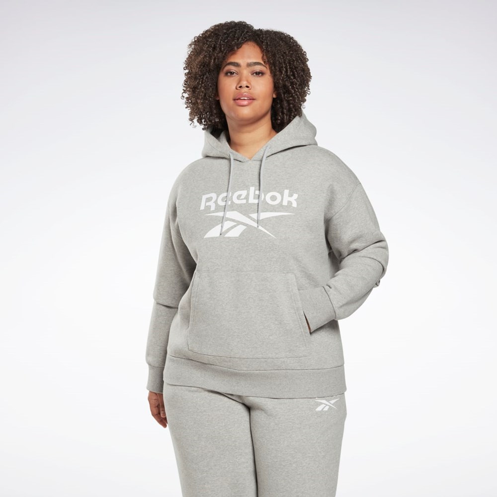 Reebok Reebok Identity Logo Fleece Pullover Hoodie (Plus Size) Grå | MQHBRD-462