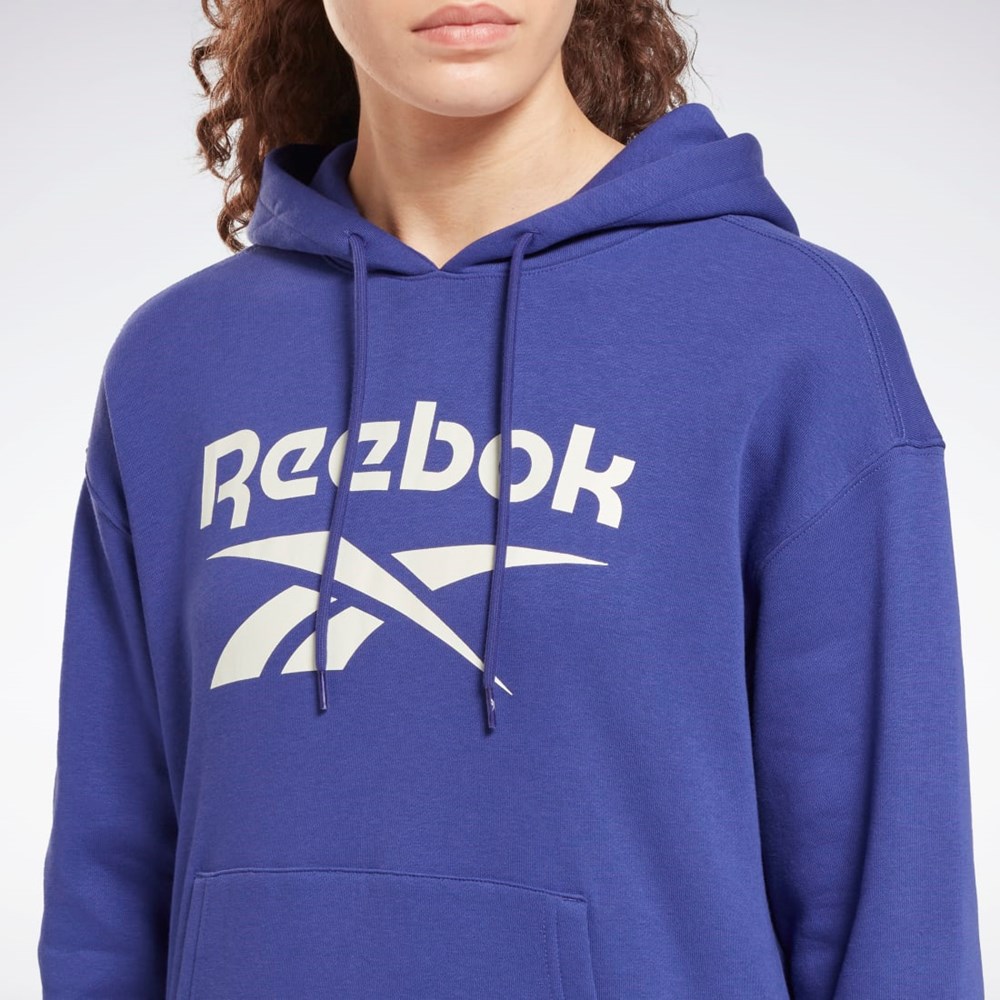 Reebok Reebok Identity Logo Fleece Pullover Hoodie Lilla | STPXFU-125