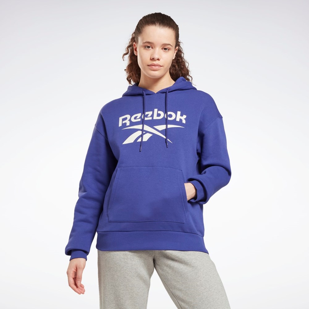 Reebok Reebok Identity Logo Fleece Pullover Hoodie Lilla | STPXFU-125