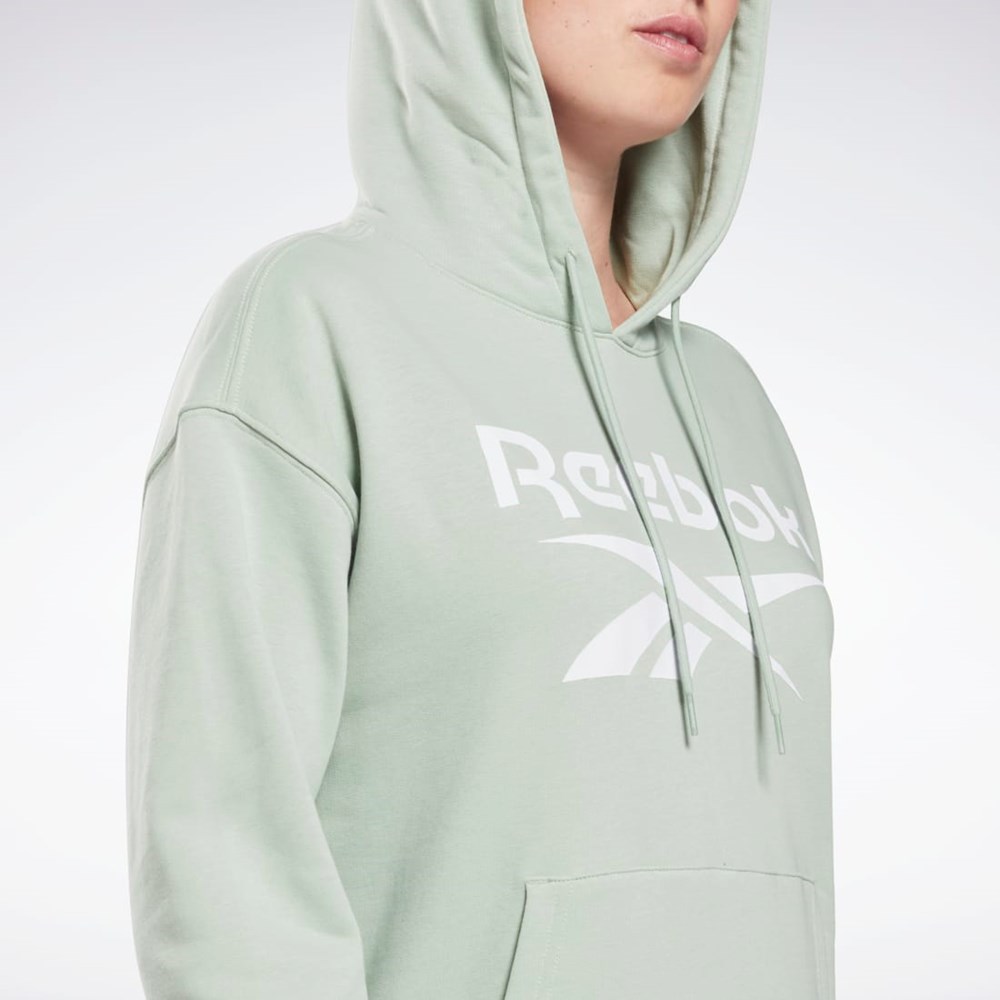 Reebok Reebok Identity Logo French Terry Hoodie Lyse | LXVQYU-158