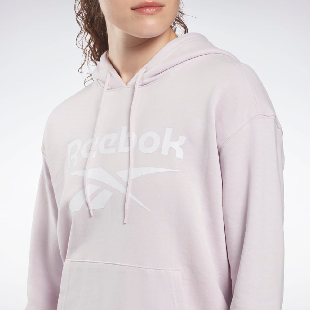 Reebok Reebok Identity Logo French Terry Hoodie Quartz Glow | QUAIVR-289