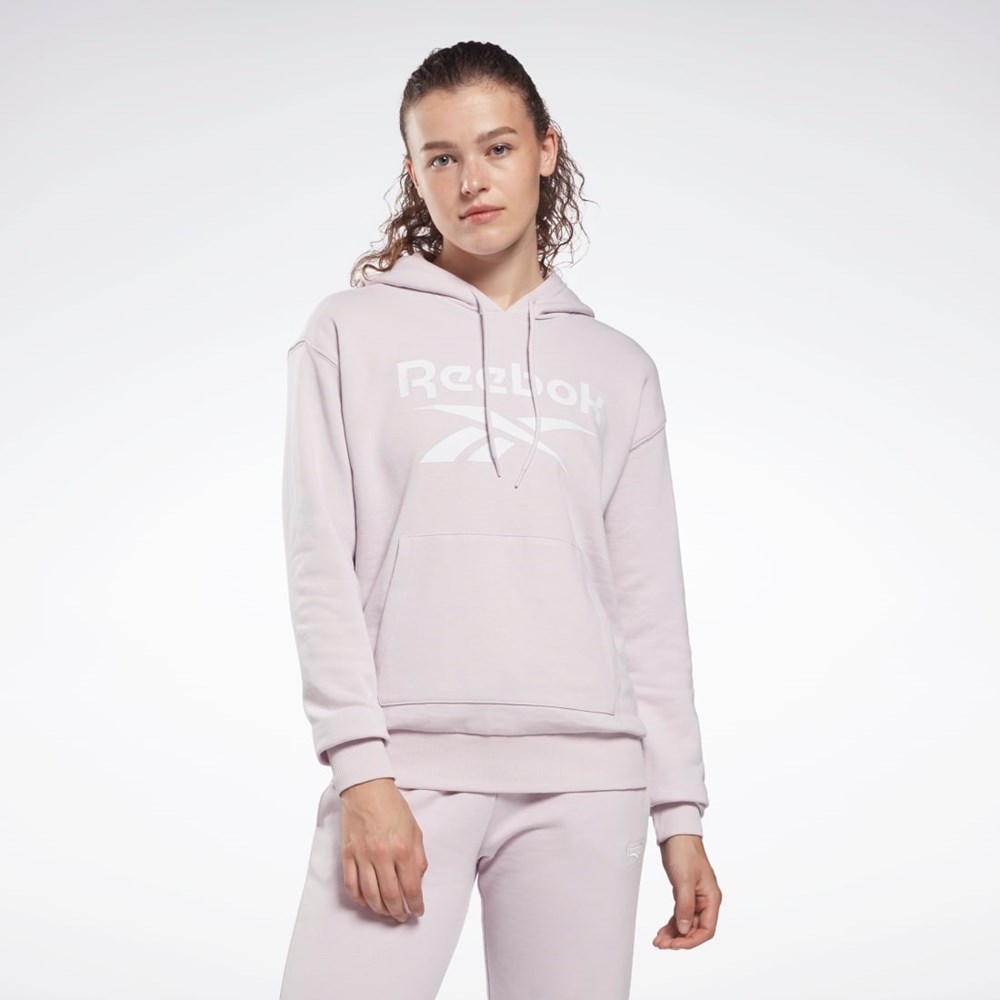 Reebok Reebok Identity Logo French Terry Hoodie Quartz Glow | QUAIVR-289