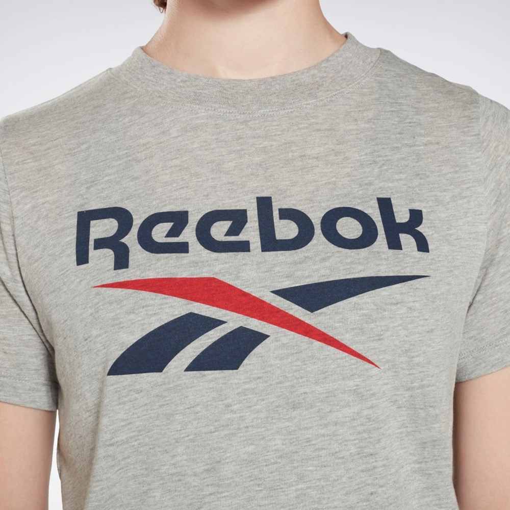 Reebok Reebok Identity Logo T-Shirt Grå | HGOADU-260