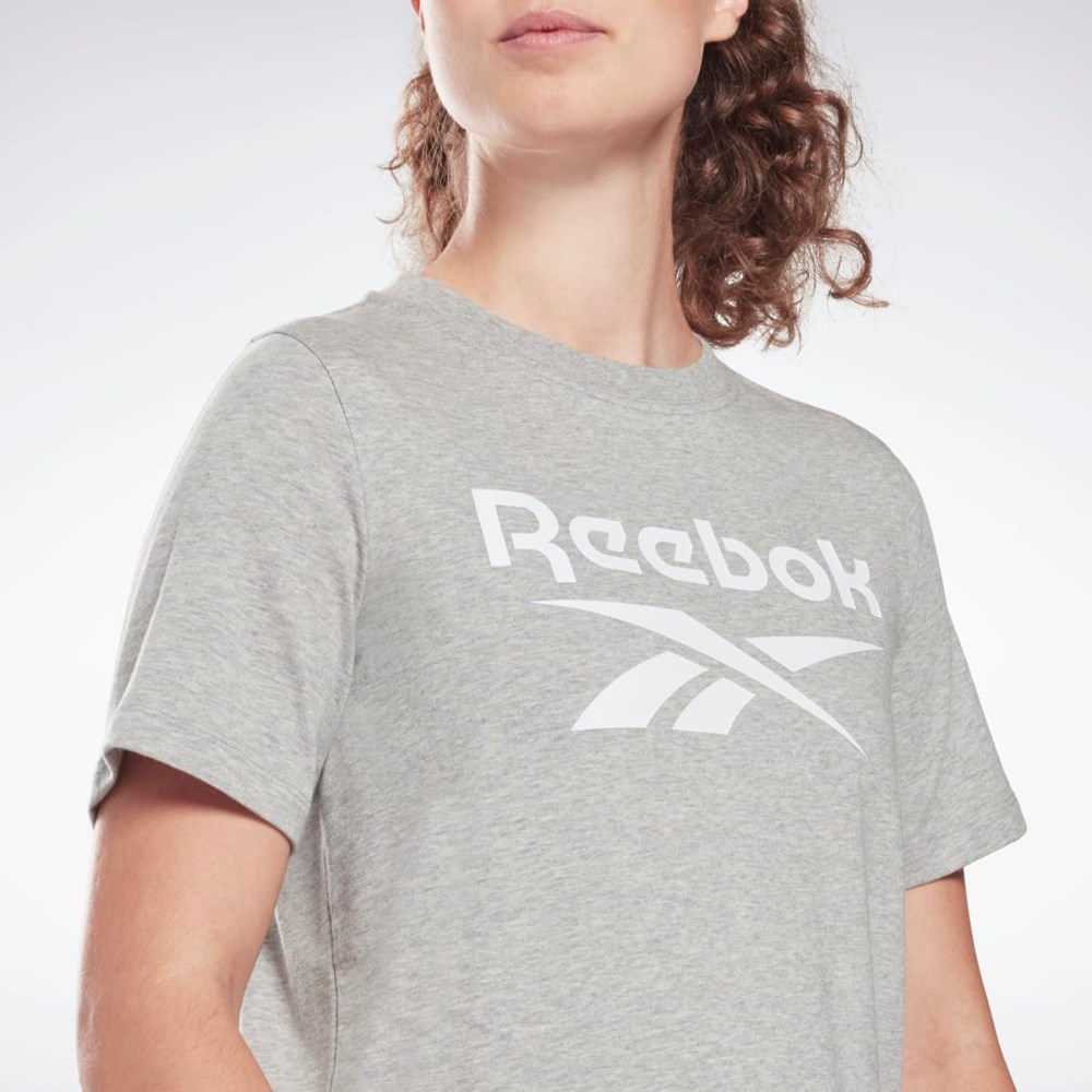 Reebok Reebok Identity T-Shirt Grå | HVTYFW-128