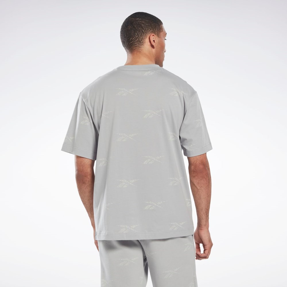 Reebok Reebok Identity Vector T-Shirt Grå | TDXKPO-032