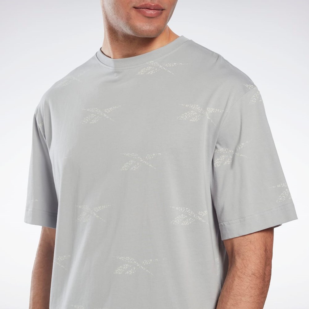 Reebok Reebok Identity Vector T-Shirt Grå | TDXKPO-032