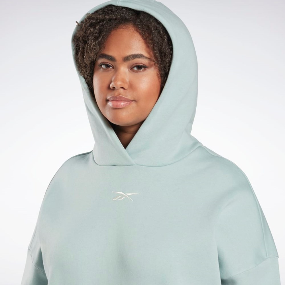 Reebok Studio Recycled Oversize Hoodie (Plus Size) Grå | JVUTQH-498