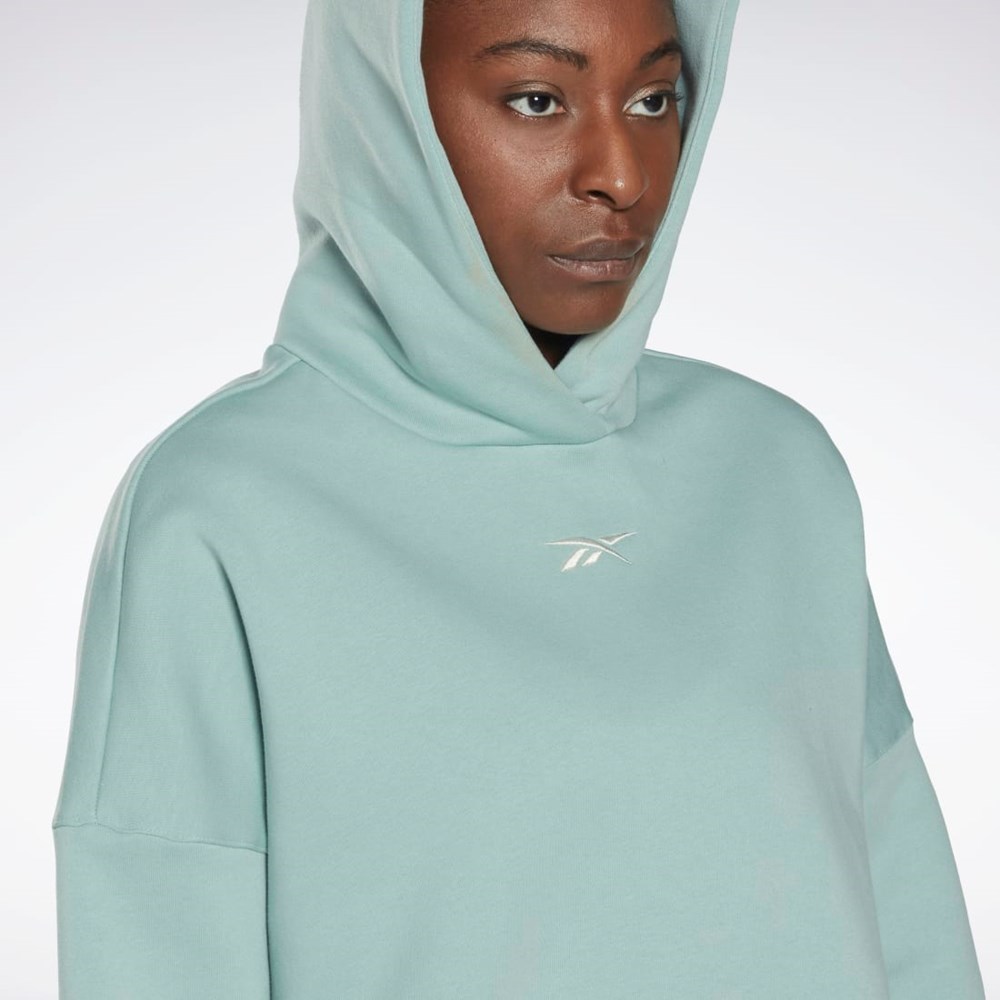 Reebok Studio Recycled Oversize Hoodie Grå | AFLYZD-087