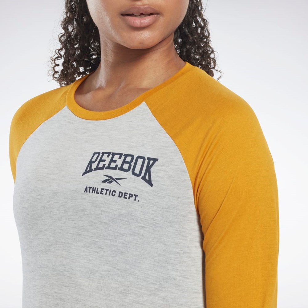 Reebok Workout Ready Baseball T-Shirt Lyse Grå | VLRGOH-873