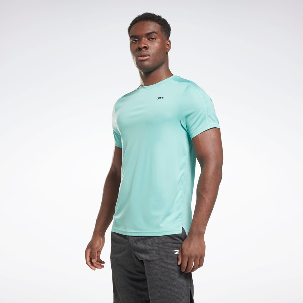 Reebok Workout Ready Tech T-Shirt Semi Classic Teal | BHCSKA-068