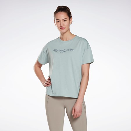 Reebok Brand T-Shirt Grå | XYUVIT-185