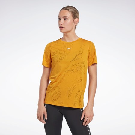 Reebok Burnout T-Shirt Bright Ochre | TQRMNW-570