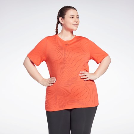 Reebok Burnout T-Shirt (Plus Size) Rød | VOHERN-612