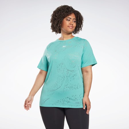 Reebok Burnout T-Shirt (Plus Size) Semi Classic Teal | HZEJKS-714