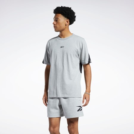 Reebok Classics Brand Proud T-Shirt Grå | HFLACJ-432