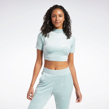 Reebok Classics Energy Tight Top Grå | AEUIMN-128