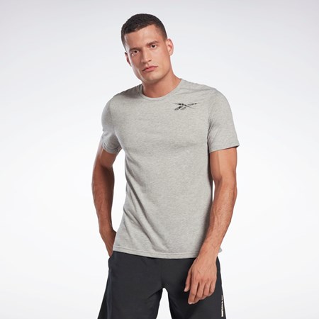 Reebok Grafiske Speedwick Move T-Shirt Grå | YHLSNV-685