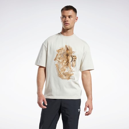 Reebok Jurassic World Fossil T-Shirt Stucco | HBWUCD-401