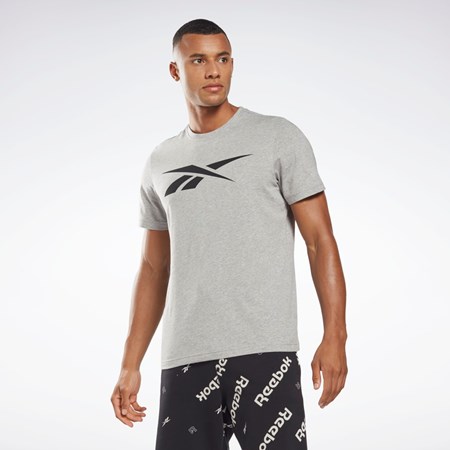 Reebok Reebok Grafiske Series Vector T-Shirt Grå | ZPNHWV-423